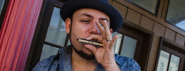 Reckless harmonicas new arrivals
