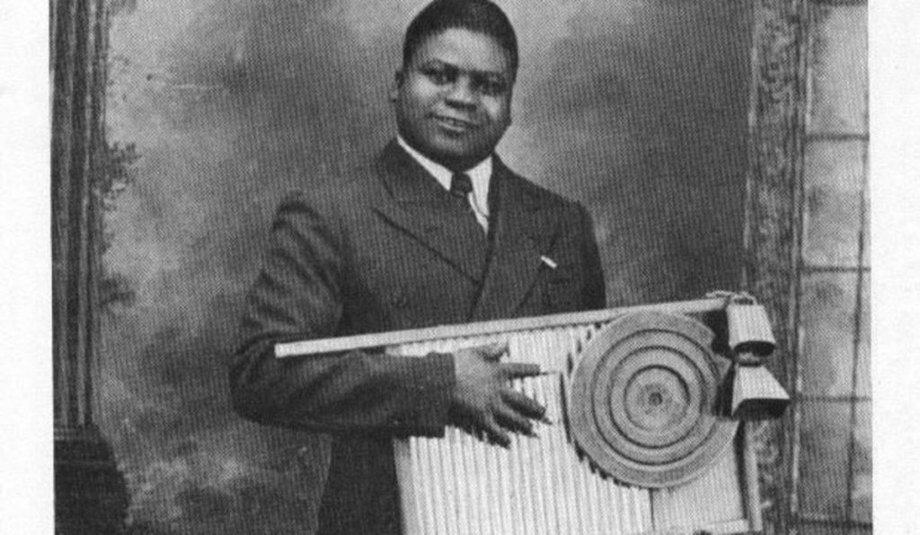 The Language of the Blues: The Story and Sound of the Washboard