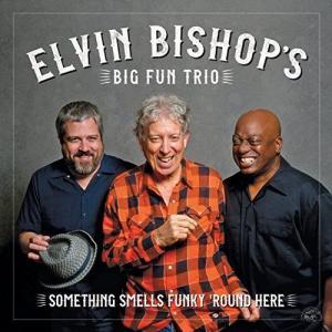 Big Fun Trio Something Smells Funky 'Round Here Cover