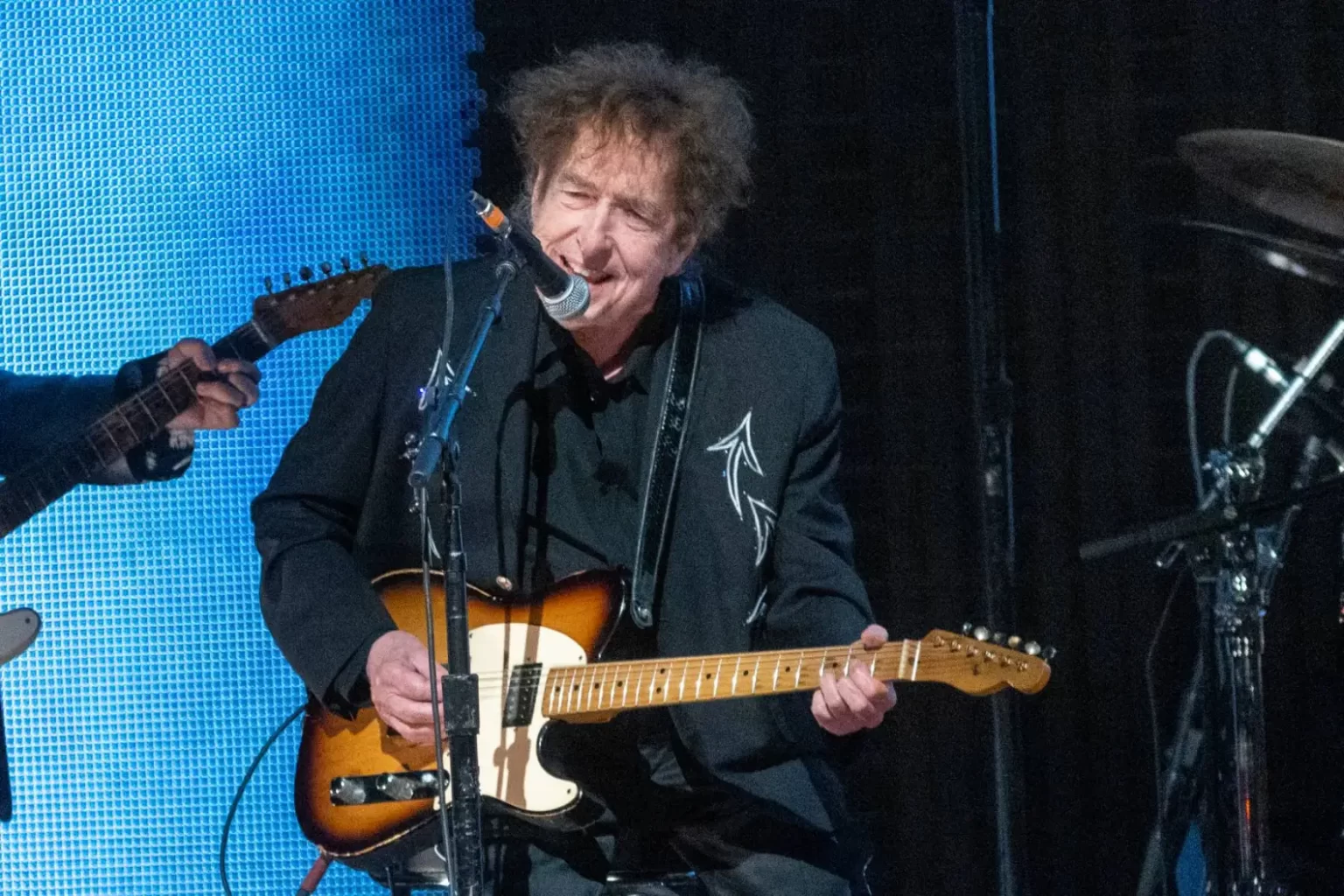 The Folk Americana Roots Hall of Fame Inductees: Solo Living Artist Bob Dylan